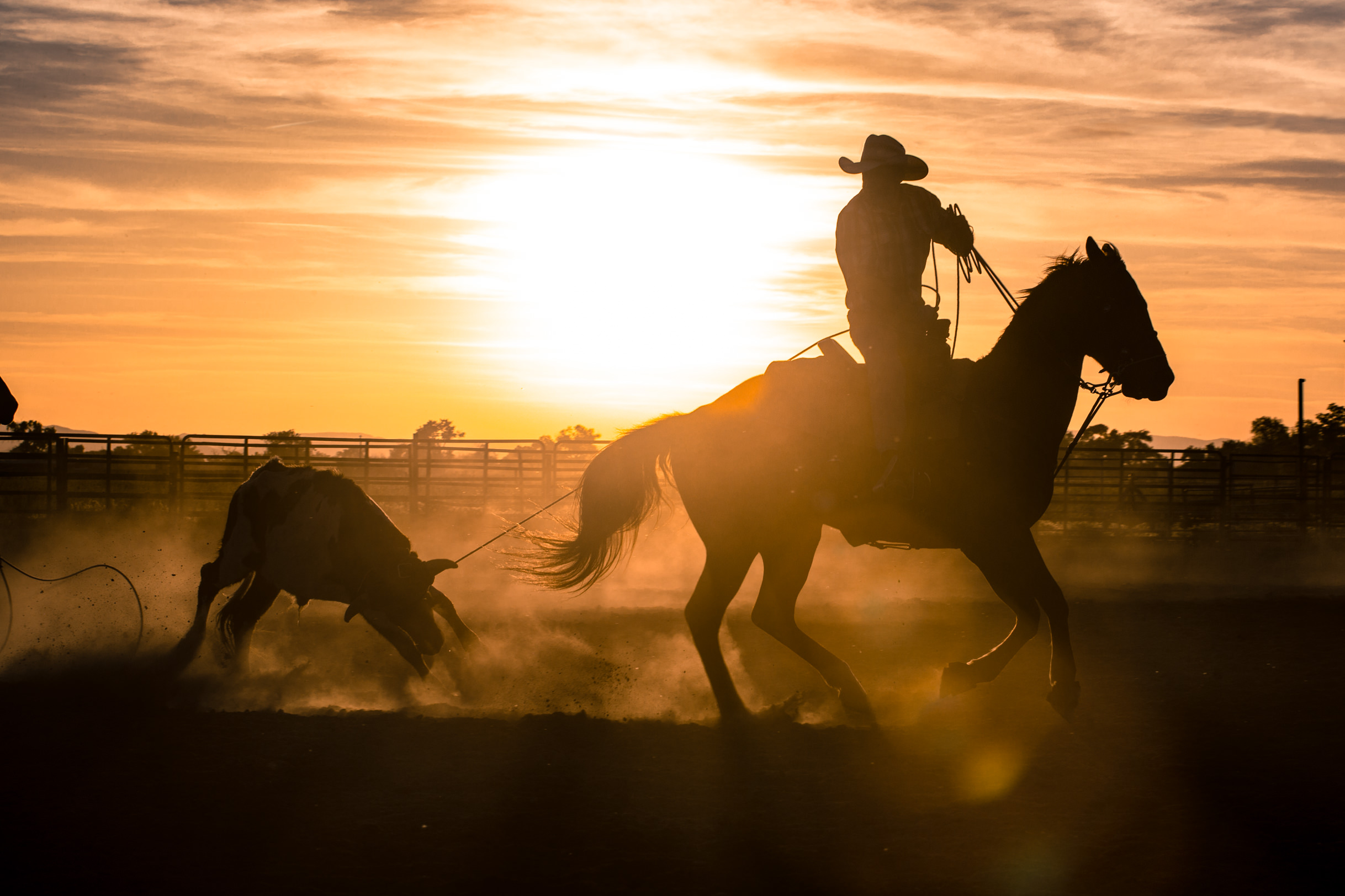 Molly Herb &mdash; Photographer